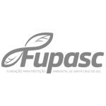 fupasc_site_institucional